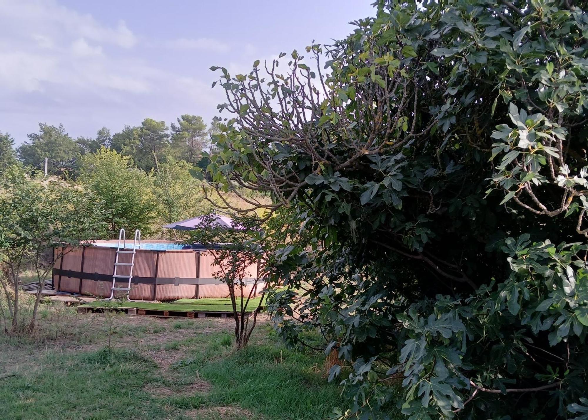 Villa Des Arnoux Dans La Vigne Draguignan Extérieur photo